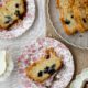 Vanilla Blueberry loaf cake slices